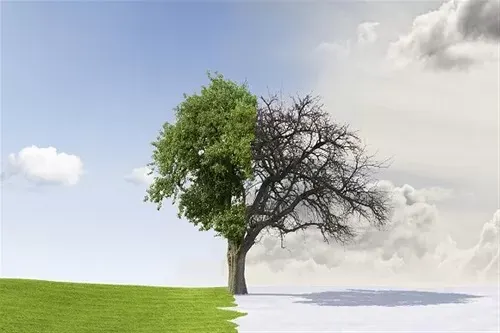 صباح غدٍ يدخل الشتاء.. وديسمبر ما زال يقلّد “أبريل”.. في الدفء