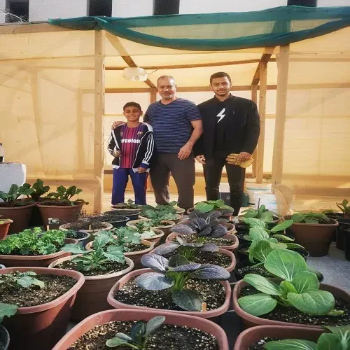 “بذرة” الفرج تنمو فوق السطح وتُباع في متجر إلكتروني