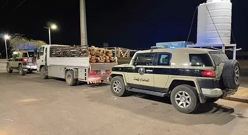 القصيم.. تاجر حطب محلي في قبضة دوريات المجاهدين