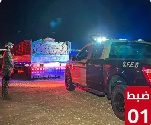 حائل.. غرامة 112 ألف ريال في انتظار تاجر حطب