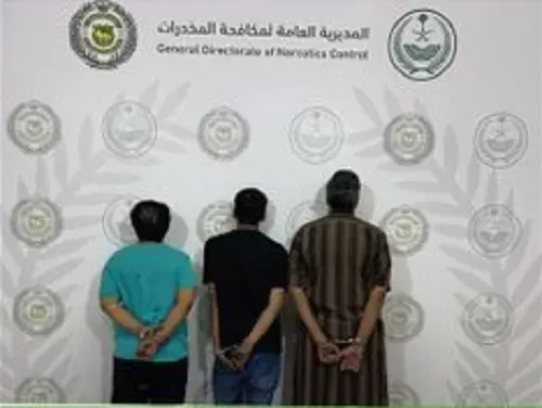 “حشيش” في الجوف و قات في عسير وإبل في محمية الملك سلمان