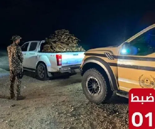 الشرقية.. تاجر حطب في قبضة الأمن البيئي