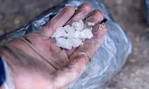 تم القبض.. “شبو” في جدة و “قات” في جازان