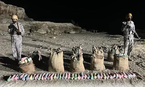 ضبطية جديدة في جازان.. إحباط تهريب 320 كيلو “قات”