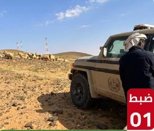 الرياض.. تغريم مواطن دخل محمية الملك عبدالعزيز بسيارته