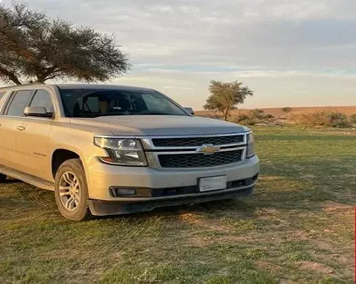 الرياض.. القبض على مقتحم محمية الملك عبدالعزيز بسيارته