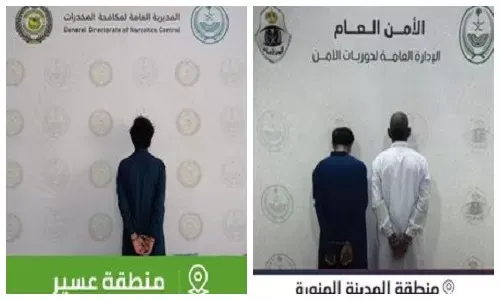 تم القبض.. “حشيش” في عسير و “شبو” في المدينة