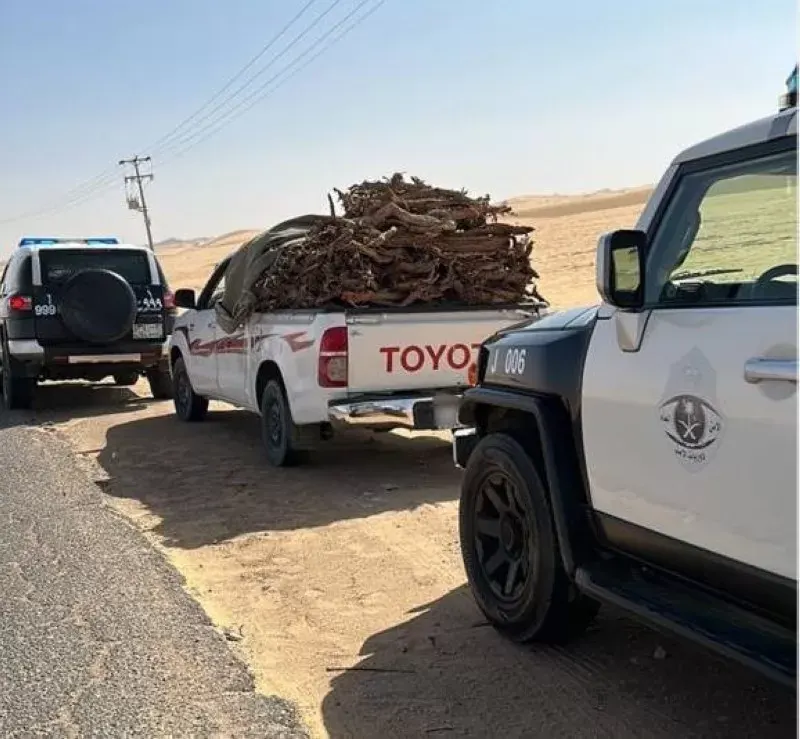 الشرقية.. تجار حطب فى قبضة دوريات المجاهدين