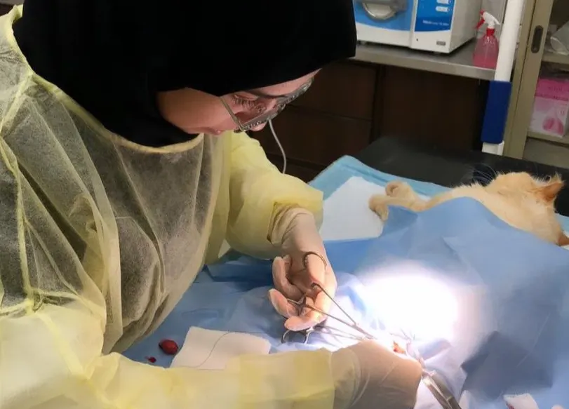 نادين عبدالعال.. أول جرّاحة “بيطرة” في القطيف
