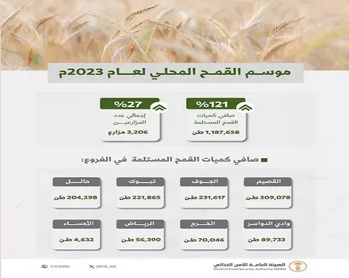 انتهاء موسم شراء القمح المحلي واستكمال صرف مستحقات المزارعين