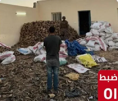 تم القبض.. تاجر حطب في الرياض و 400 كيلو “قات” في جازان وعسير