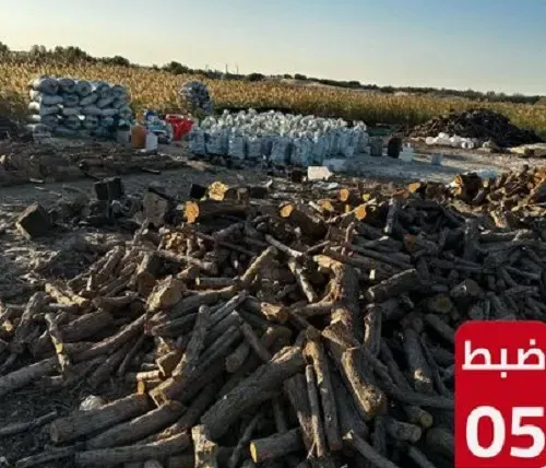 الشرقية.. الأمن البيئي يقبض على 5 تجار حطب وفحم