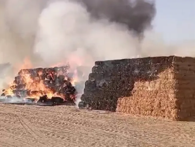 السبب غامض.. أحرق العلف والحرّاثة في وادي الدواسر