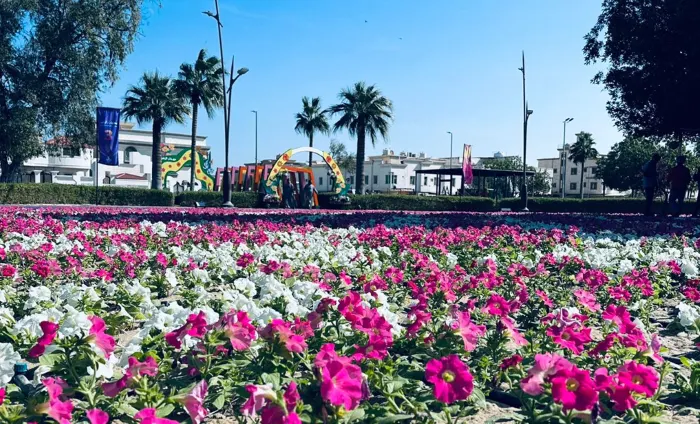 القطيف تستعد الزهور