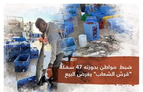 الشرقية.. مليون و 800 ألف غرامة في انتظار صائد “قرش الشعاب”
