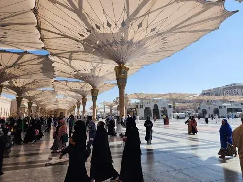 طيبة الطيبة