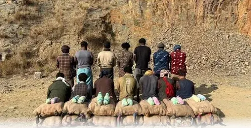 ضبطية جديدة.. 14 مهرب “قات” في جازان