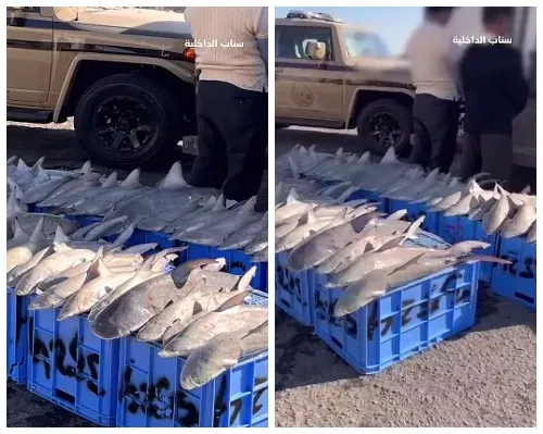 “سناب الداخلية” ينشر تفاصيل “جراجير” الجبيل