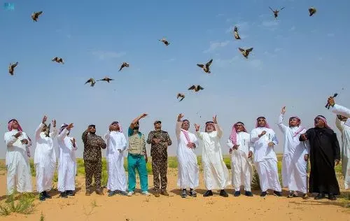 تعاون “سعودي – أمريكي” لحماية الطيور المهاجرة