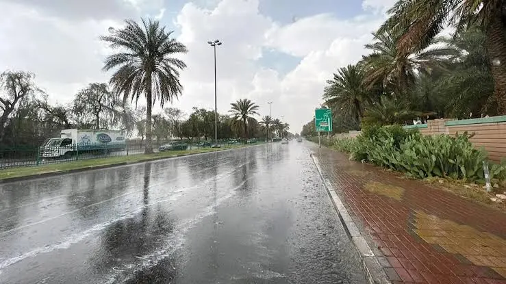 “شتانا صح”.. حملة توعية لتعزيز سلوكيات البيئة