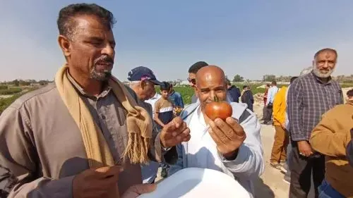 شاهد] في العوامية.. “الرامسي” يذكر البحرانيين بطماطم “الصيقل”