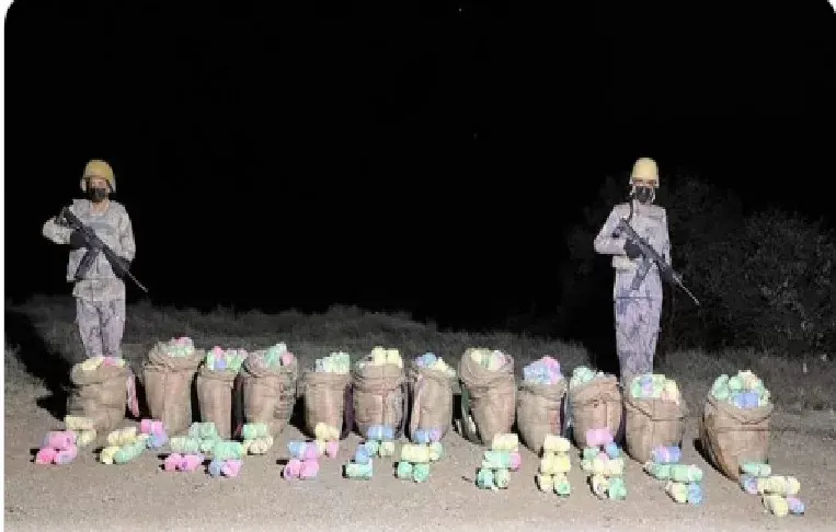 عسير.. حرس الحدود يحبط تهريب 180 كيلو قات