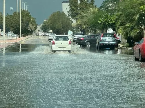 بـ 53.6 ملم.. الشرقية الأعلى كمية في هطول أمطار اليوم