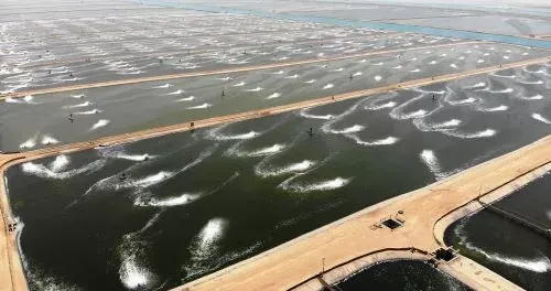 الرياض.. معرض دولي يبحث تطوير قطاع الثروة السمكية