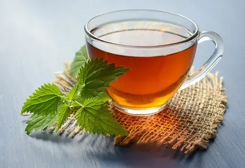 النعناع قبل النوم يعالج الأرق ويساعد على الاسترخاء
