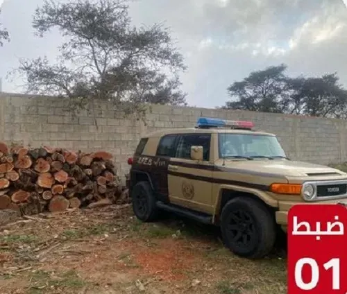 عسير.. غرامة 96 ألف ريال في انتظار تاجر حطب