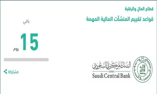 خلال 15 يوماً.. قل رأيك في “قواعد تقييم المنشآت المالية المهمة”