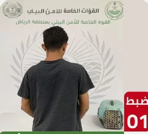 القبض على بائع الثعلب في الرياض و قاطعي مسيجات محمية الإمام تركي
