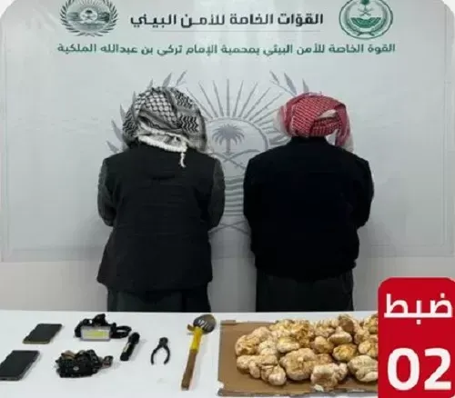 القبض على قاطعي مسيجات محمية الإمام تركي للبحث عن “الفقع”