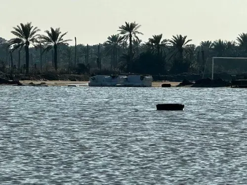 مستنقع الجمال..!
