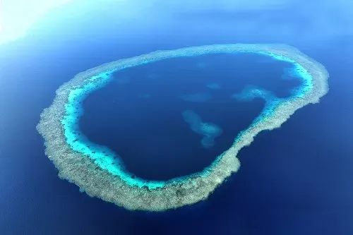 رحلة العقد.. اكتشاف 10 ثقوب زرقاء و أسماك القرش الأبيض الكبير في البحر الأحمر