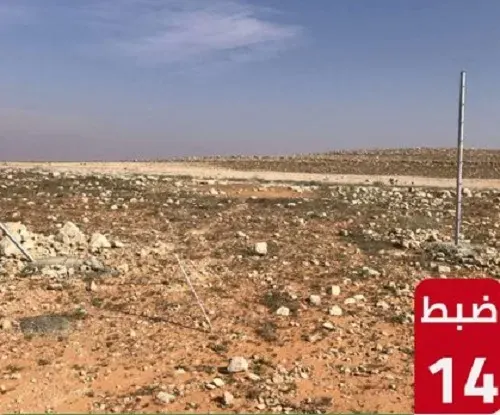 البحث عن الفقع يورط 14 سعودياً قطعوا مسيجات محمية الإمام تركي