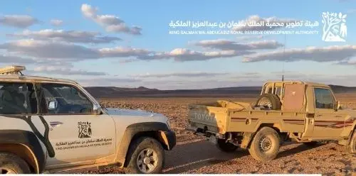 ضبط سيارتين و4 أشخاص مخالفين في محمية حرة الحرة