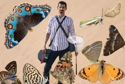 عدسة فيصل هجول ترصد فراشات القطيف في مشروع بيئي جديد