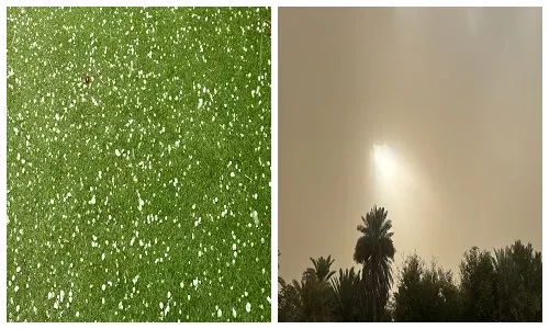 الفلكي الرمضان: هذا هو طبع شهر مارس.. والمطر لم يكن مؤكداً فيديو] القطيف.. الفصول الأربعة في يوم واحد