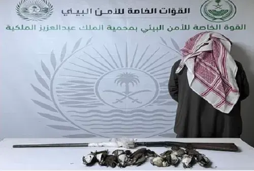تم القبض] عواد الرشيدي يصيد الطيور بلا ترخيص في محمية الملك عبدالعزيز