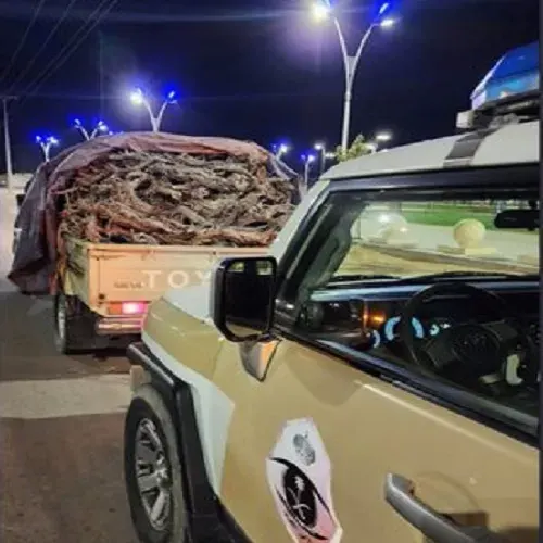 الجوف.. تاجر حطب يقع في قبضة شرطة طبرجل