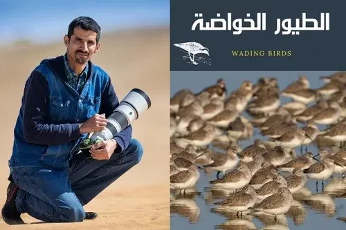 فيصل هجول يخوض مع “الطيور الخوّاضة”…!