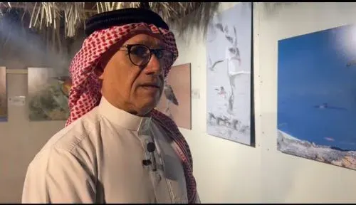 فيديو] أجنحة طيور تاروت تستريح في صور لطفي البصارة