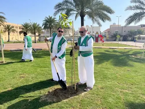 600 شجرة جديدة في حدائق سيهات وعنك و الملاحة