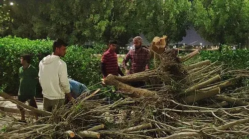 أمطار القطيف.. “زعازيع” الليل هدأت في النهار