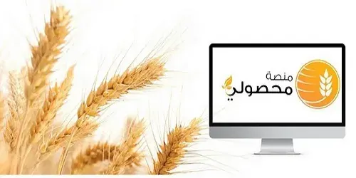 21 أبريل.. “الأمن الغذائي” تبدأ استلام القمح من المزارعين.. والطن بـ 1800 ريال