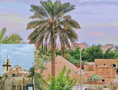 فيديو] أبو لوزة تحت التأهيل