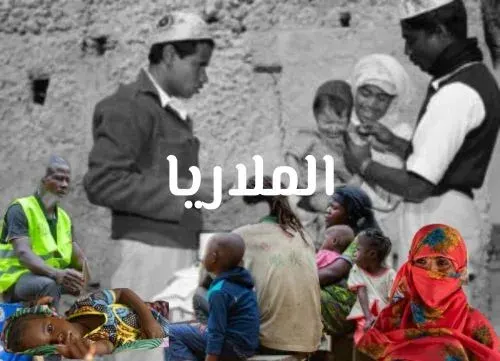 شبكة القطيف تنظم أصبوحة تثقيف غداً عبر التاريخ.. القطيف عاشت صديقة للملاريا حتى وصول الـ DDT