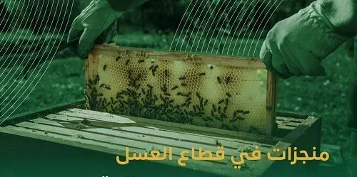 في 4 سنوات.. دعم قطاع العسل بـ 140 مليون ريال