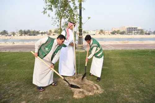 في يوم الأرض.. 300 شجرة جديدة في كورنيش المشاري